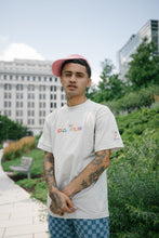 Load image into Gallery viewer, PL▲TINUM MULTI-COLOR TEE
